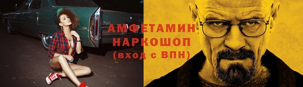 стафф Аркадак