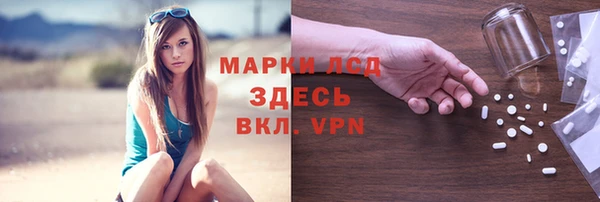 стафф Аркадак