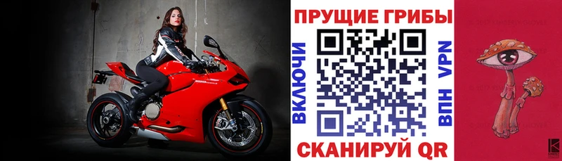 Галлюциногенные грибы Magic Shrooms  Североморск 
